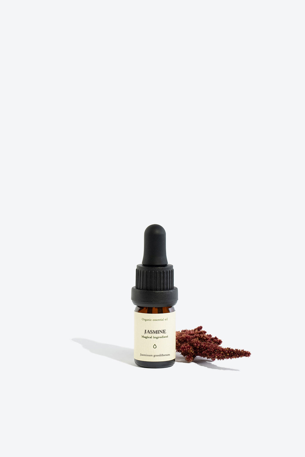 Jasmine essential oil SMELLS LIKE SPELLS jasminum grandiflorum oil